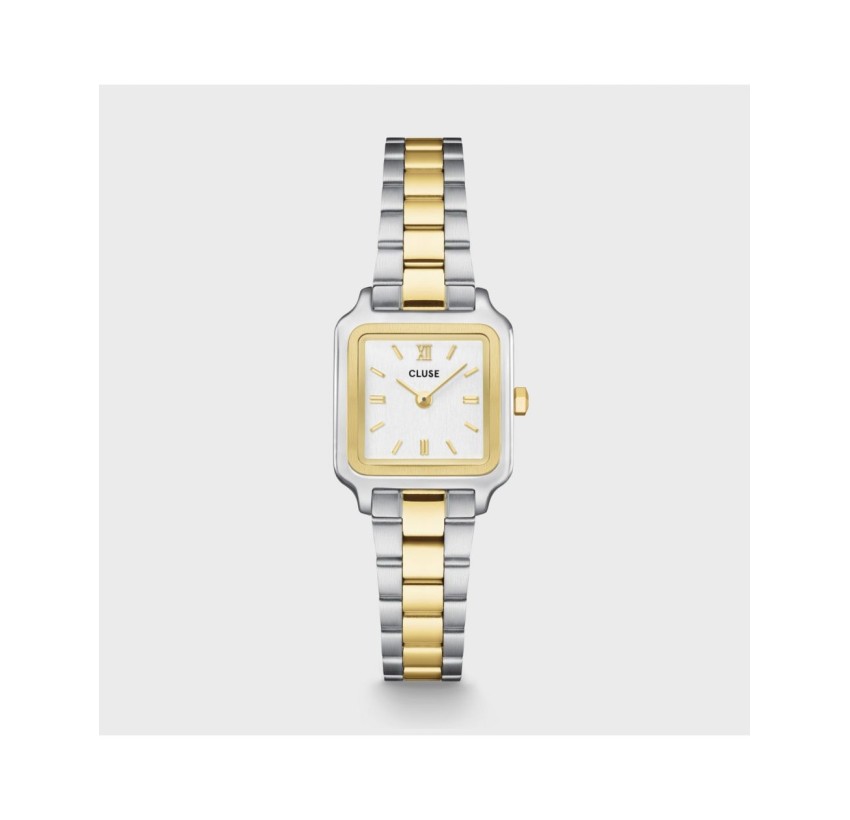 RELOJ CLUSE GRACIEUSE MINI WATCH STEEL TW