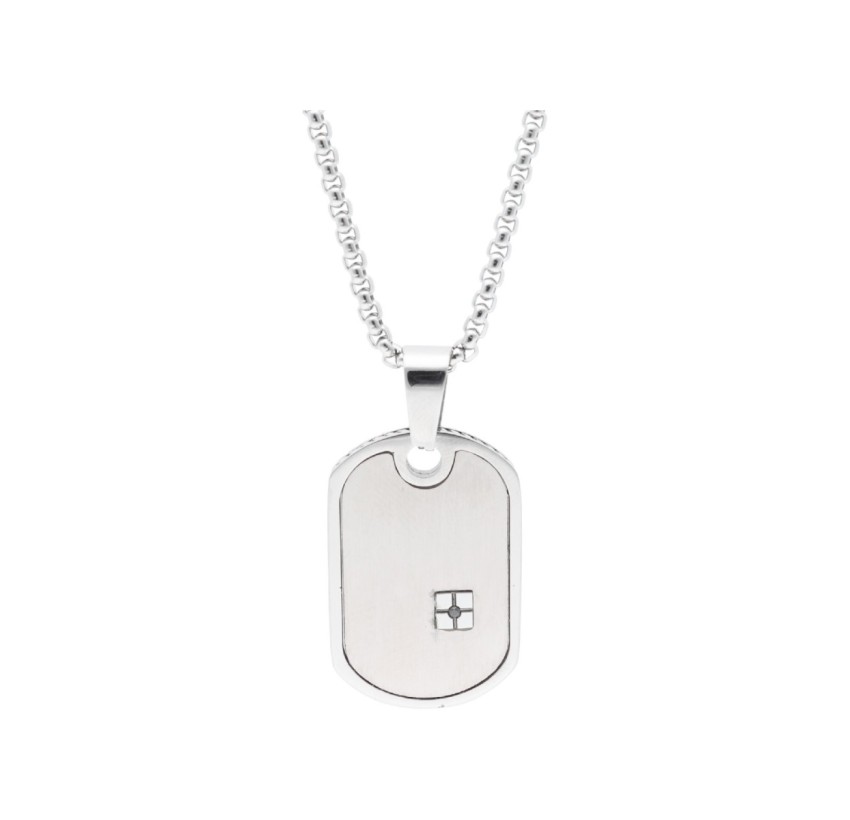 CADENA Y PLACA ACERO